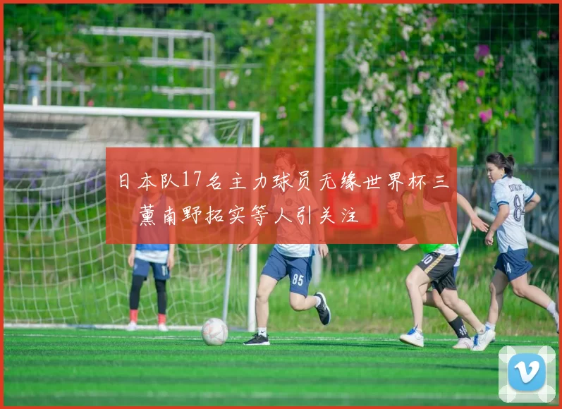 日本队17名主力球员无缘世界杯三笘薰南野拓实等人引关注