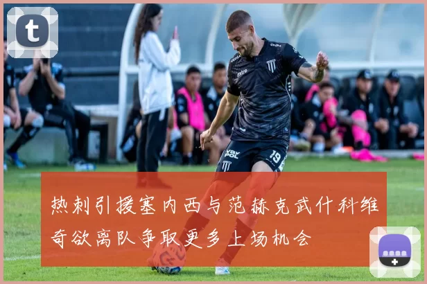 热刺引援塞内西与范赫克武什科维奇欲离队争取更多上场机会